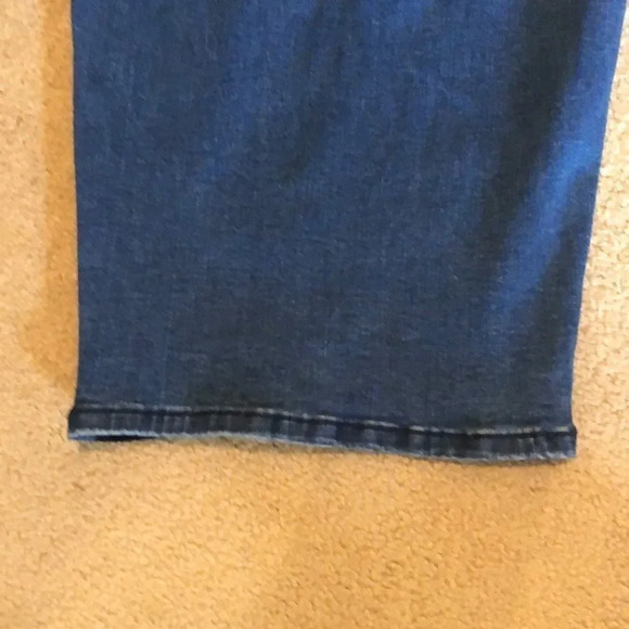 NWOT Universal standard Ravi/Color block jeans - Picture 4 of 9